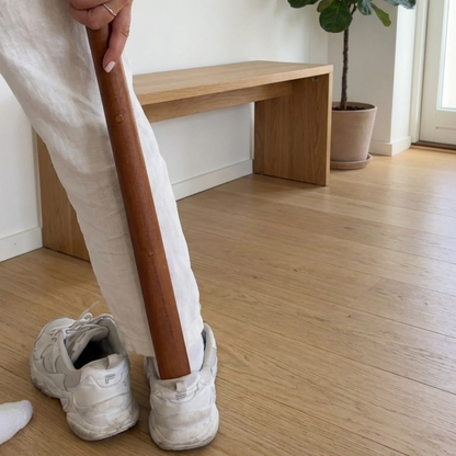 The Magnetic Shoehorn