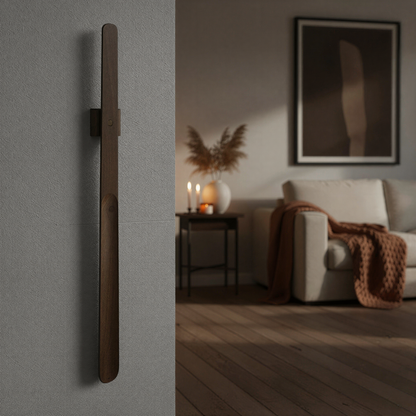 The Magnetic Shoehorn