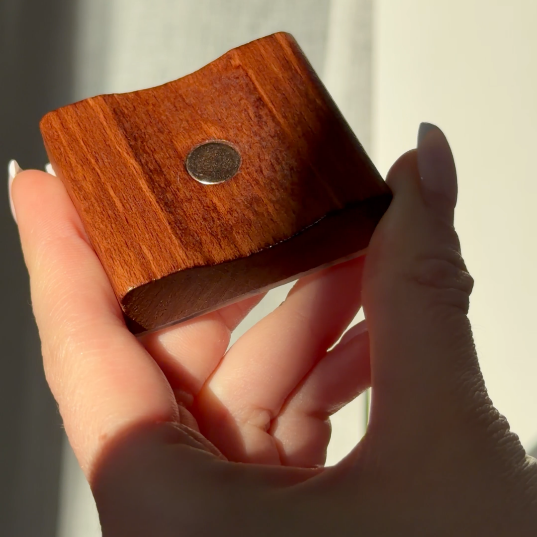 The Magnetic Shoehorn
